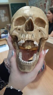 Статистика Дзен Игровой