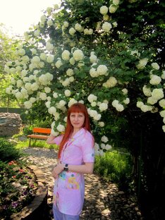 Статистика Дзен Наталья Емельяшина
