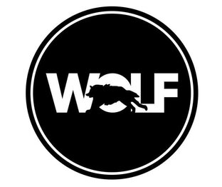 Дзен STREET WOLF статистика
