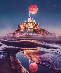 Дзен О нашем мире  статистика