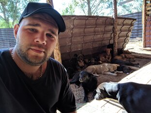 Дзен Приют Ковчег статистика