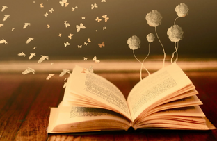 Дзен Книжные полки статистика