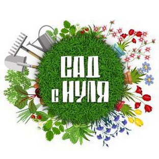 Статистика Дзен САД С НУЛЯ