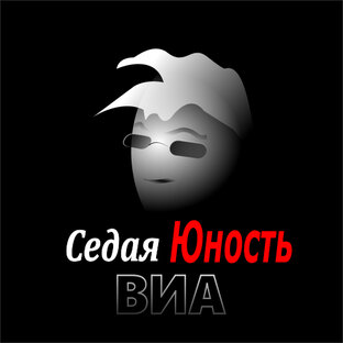 Дзен ВИА Седая Юность статистика