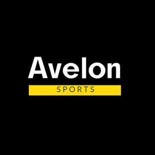 Статистика яндекс дзен Avelon sports