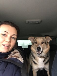 Статистика Дзен Ирина и ДС