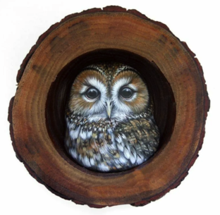 Статистика Дзен WooDzen
