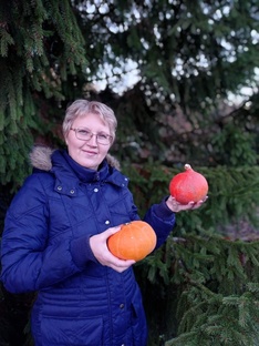 Статистика Дзен Дачница-Марина