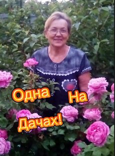 Статистика Дзен #ДомикуМоря, или трое на даче строят дом!