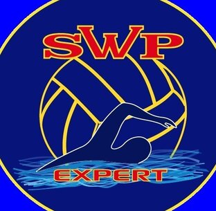 Статистика Дзен SWP Малиновский