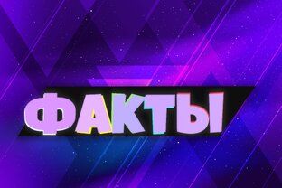 Дзен ИнтФакт статистика