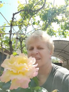 Статистика Дзен Татьяна Крым