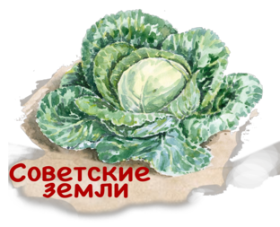 Статистика Дзен Советские Земли