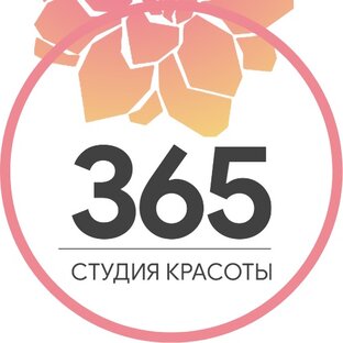 Статистика Дзен Студия красоты 365 Селигерская