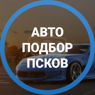 Статистика Дзен Дмитрий Автоподбор Псков