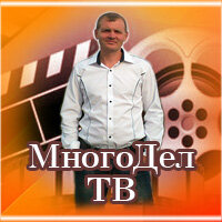 Дзен Много Дел статистика