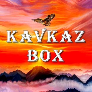 Статистика Дзен Kavkaz Box