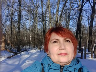 Статистика Дзен Светлана Носатова