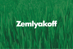 Статистика Дзен ZemlyakoFF