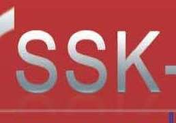 Дзен SSK-Inform статистика