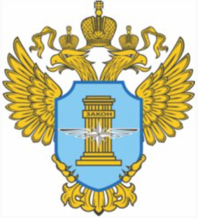 Статистика Дзен Общественный совет при Ространснадзоре