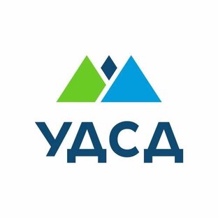 Статистика Дзен УДСД