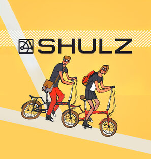 Статистика Дзен SHULZ - Велосипеды и самокаты