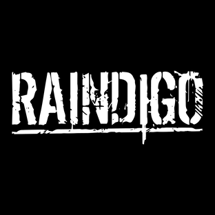 Статистика Дзен Raindigo Official