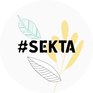 Статистика Дзен Школа онлайн-фитнеса Sekta
