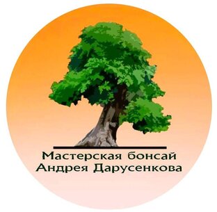 Статистика Дзен Мастерская бонсай и ниваки