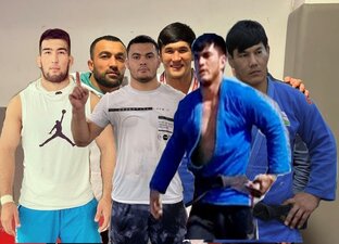 Статистика Дзен ASL SURXON