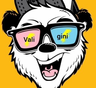 Дзен Valigini статистика