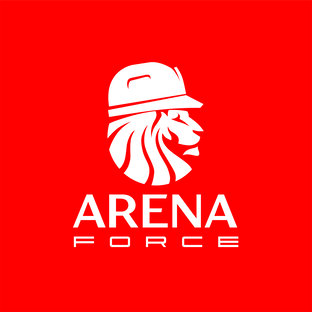 Статистика яндекс дзен Arena Force