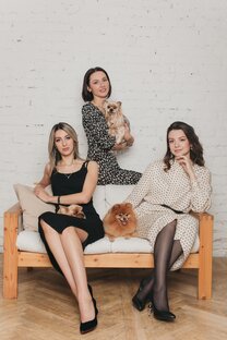 Статистика Дзен Groomer Club
