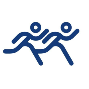 Статистика Дзен begaem.com