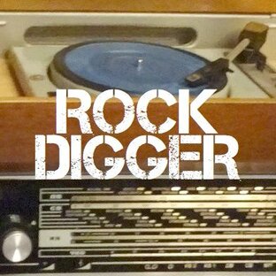 Статистика Дзен ROCKDIGGER