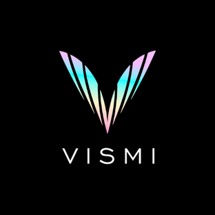 Статистика Дзен VISMI 