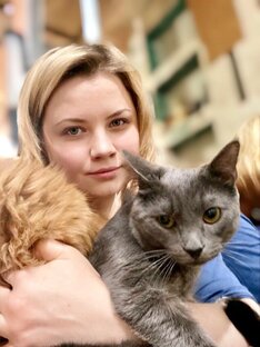 Дзен КОШАЧЬИ НОВОСТИ статистика