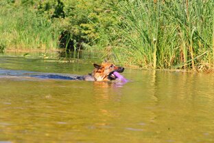 Водные процедуры