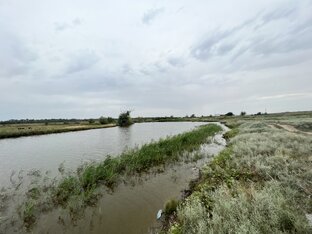 Невымышленные истории 