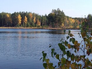 Осень.