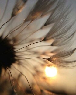 Вдохновение.