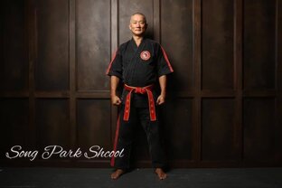 Мирный воин