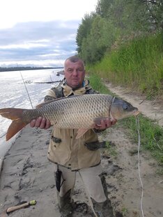 Охота на сазана!!!