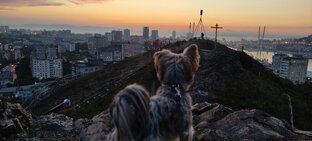 Гроза морей