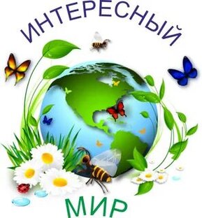 Интересный мир