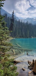 Канадские будни