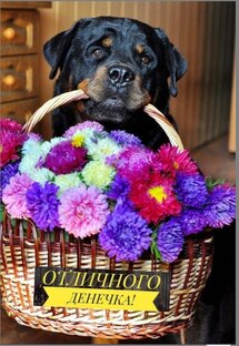 Всем привет