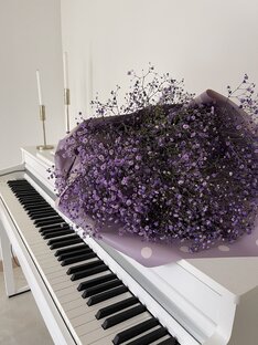 Музыка 