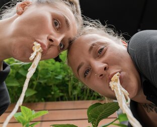 Тратториансы🐰